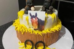 birthday-cake-horses